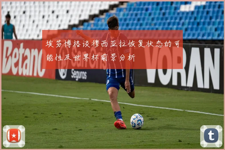 埃芬博格谈穆西亚拉恢复状态的可能性及世界杯前景分析